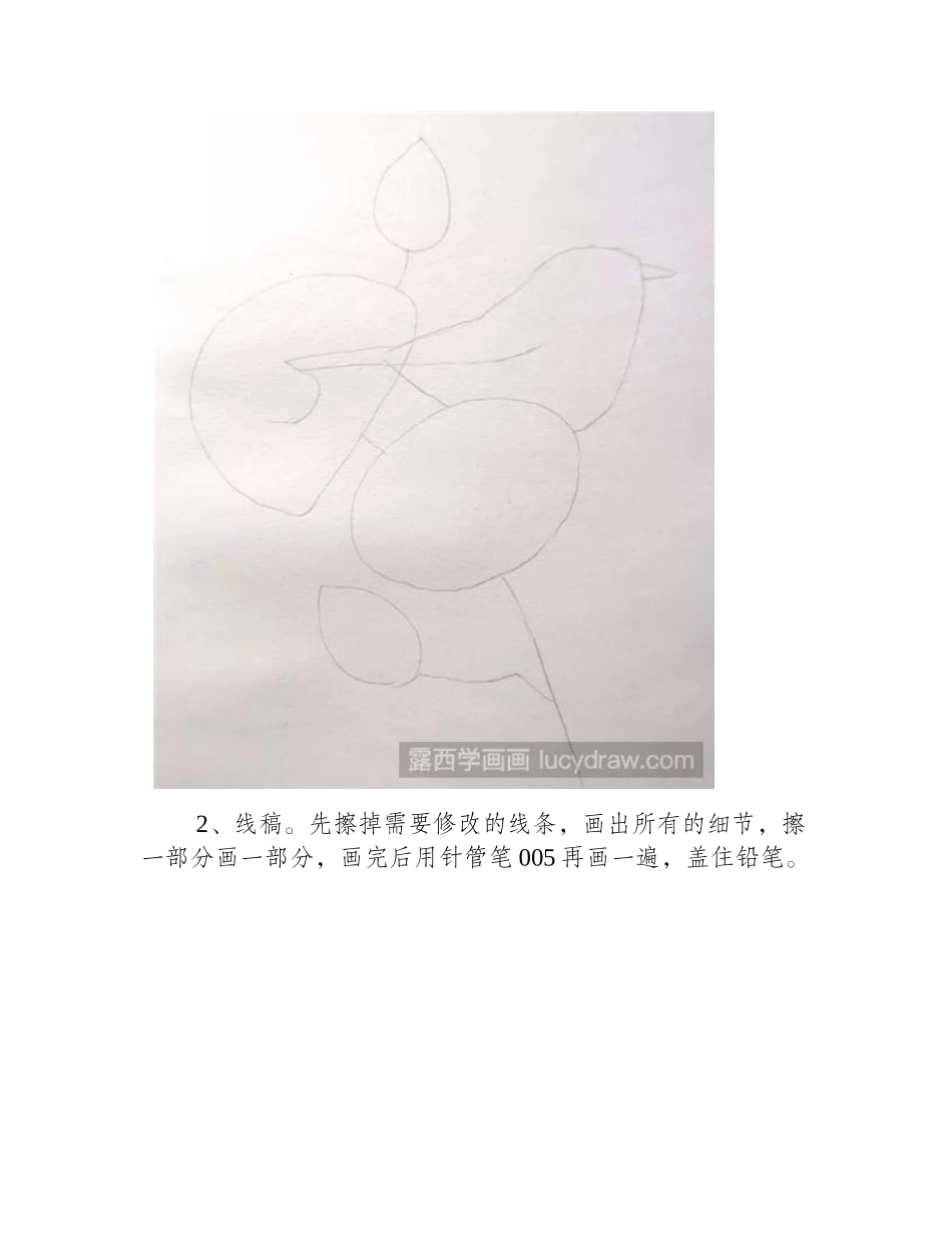 山茶花钢笔画怎么画_如何绘画山茶花和林鸲_钢笔画教程2_第2页