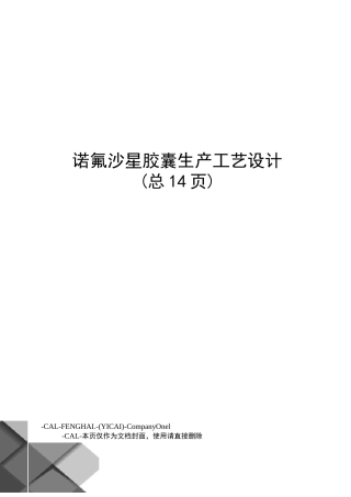 诺氟沙星胶囊生产工艺设计