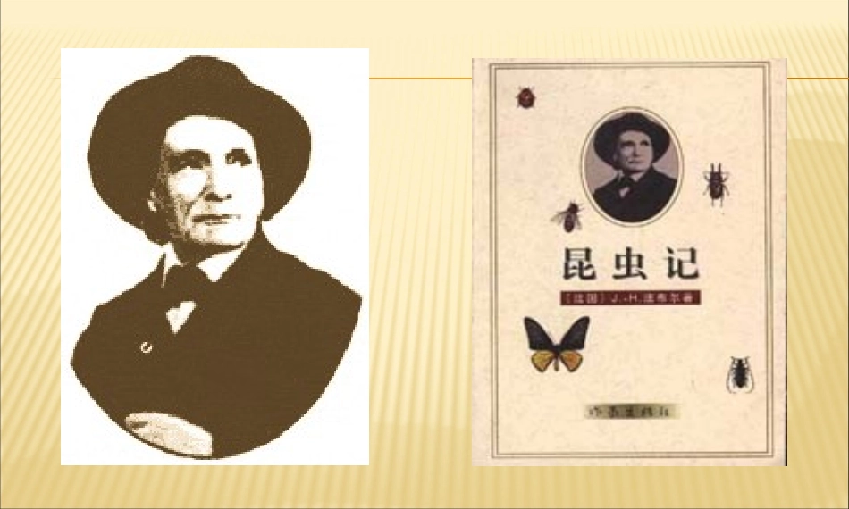 《绿色蝈蝈》课件3_第3页