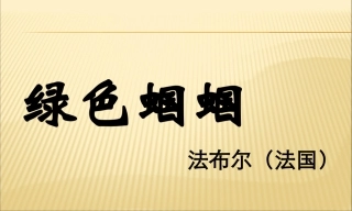 《绿色蝈蝈》课件3