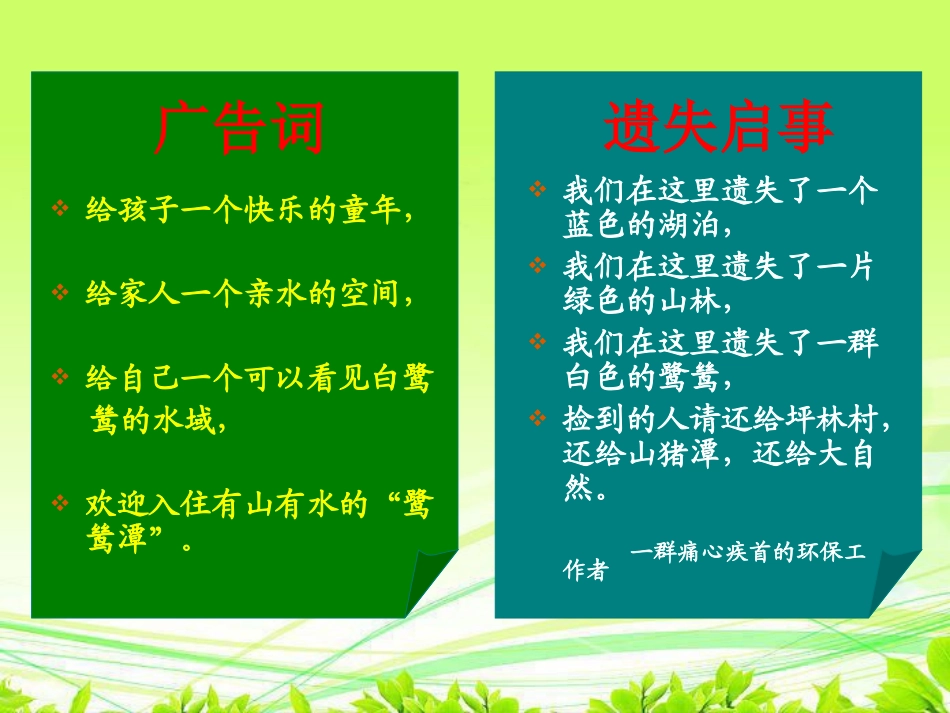 最后一只白鹭鸶_第3页