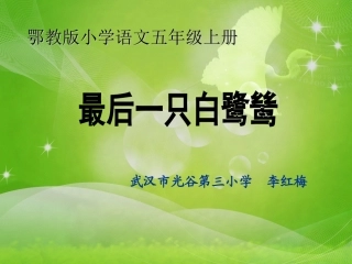 最后一只白鹭鸶