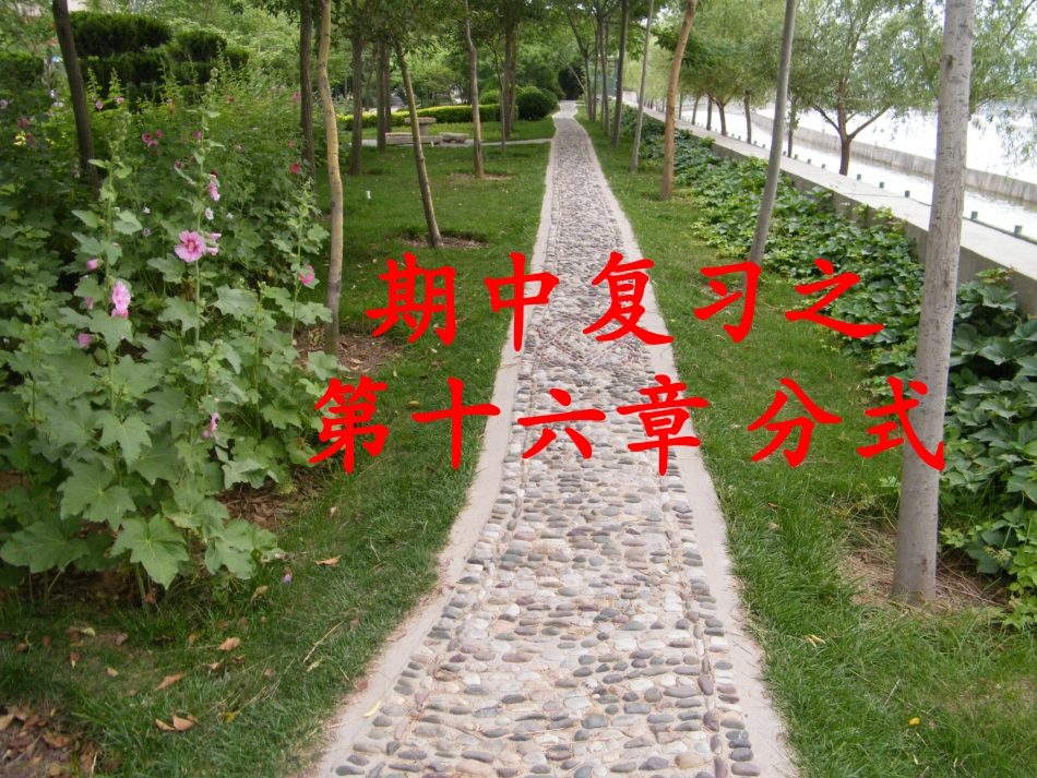 上课用：分式性质及方程2013.4.11_第1页