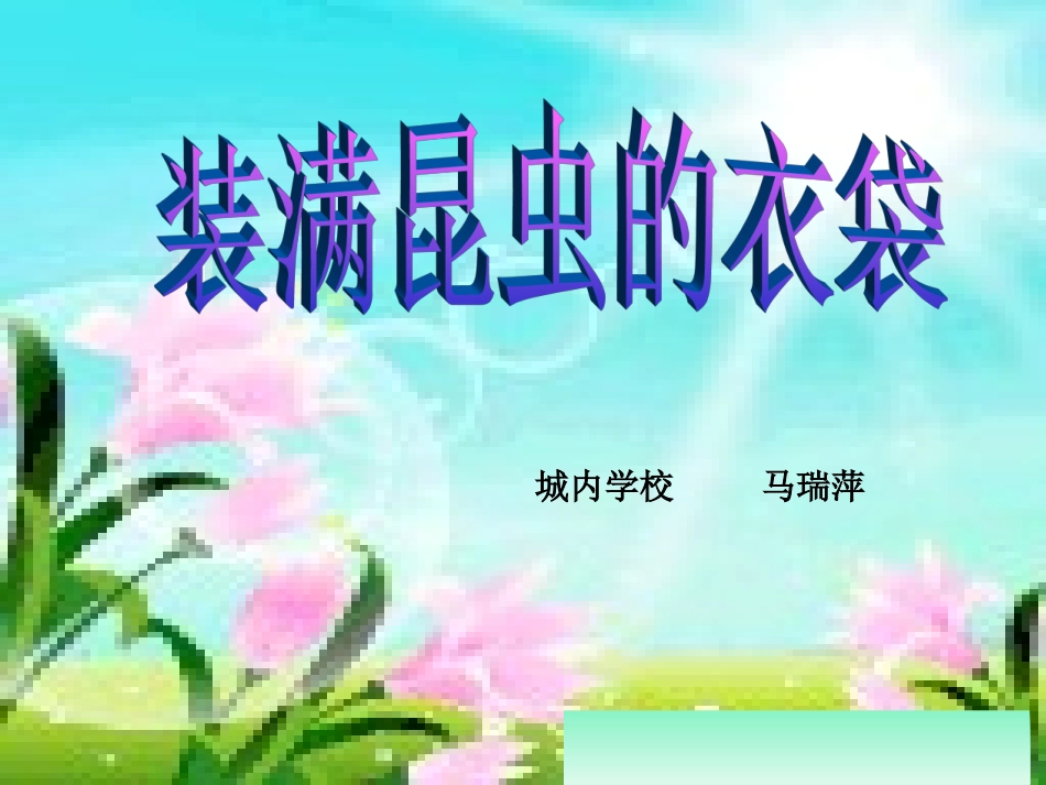 装满昆虫的衣袋ppt_第1页