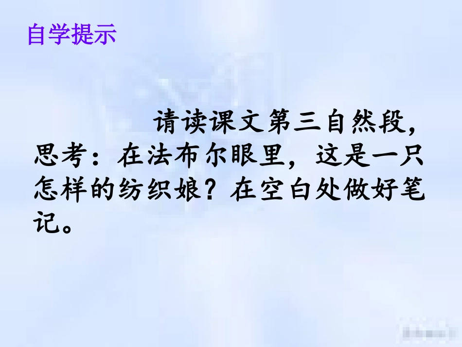 装满昆虫的衣袋ppt_第2页