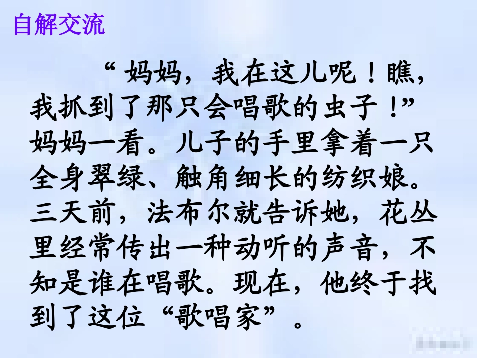 装满昆虫的衣袋ppt_第3页