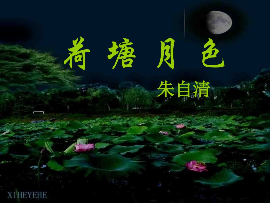 荷塘月色(参赛)_第1页