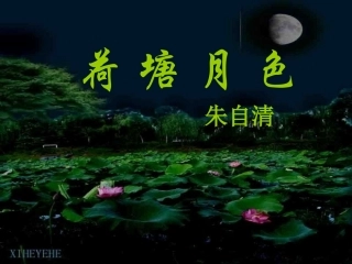 荷塘月色(参赛)