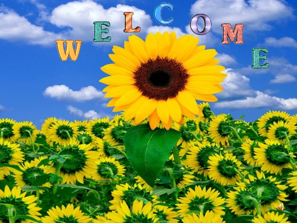 选修6-Unit1_第1页