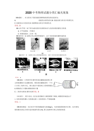 2020中考物理试题分类汇编光现象