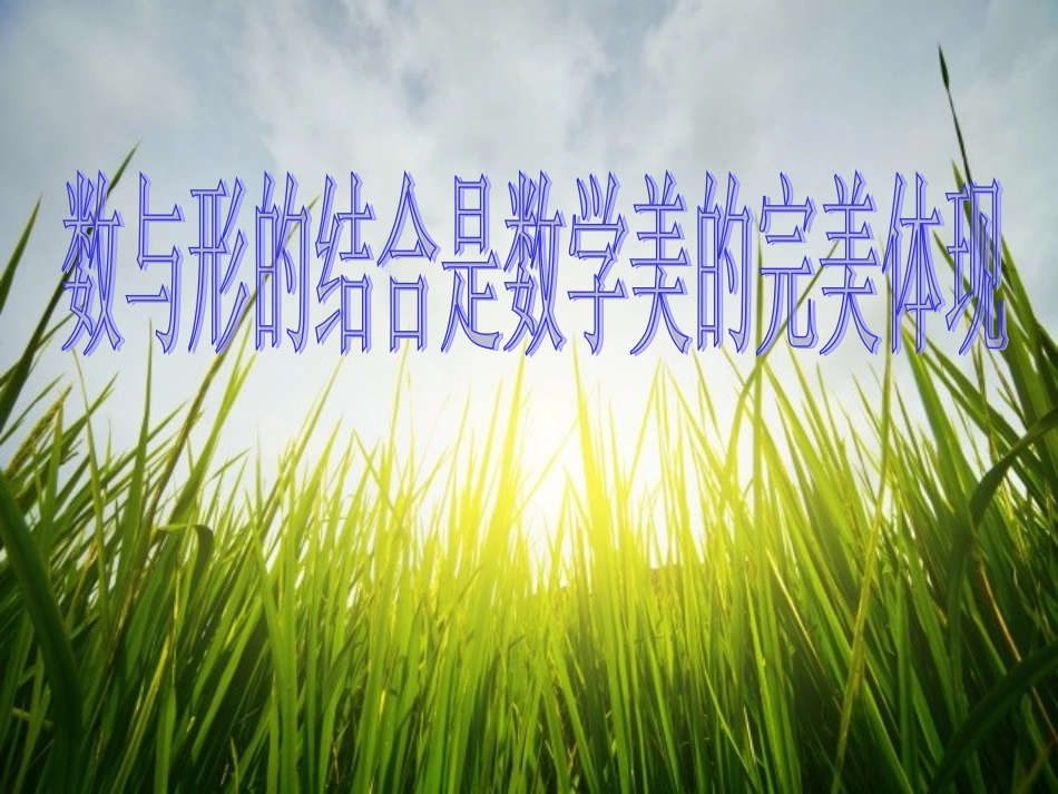 分数乘分数PPT_第1页