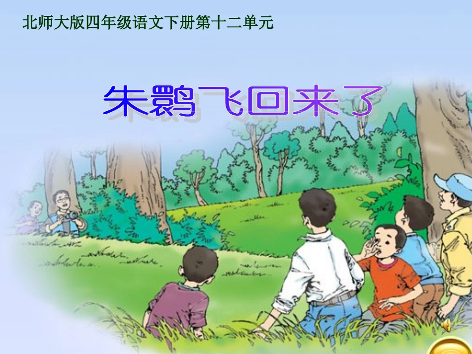 四年级语文上课件-朱鹮飞回来了北师大版_第1页