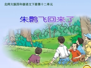 四年级语文上课件-朱鹮飞回来了北师大版