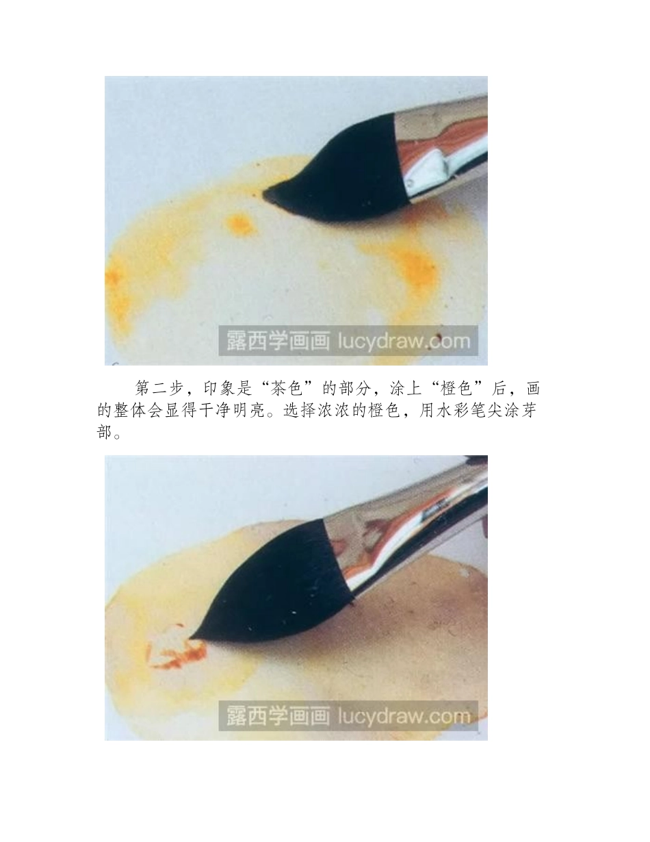 水彩画教程：如何画土豆水彩画教程_第2页
