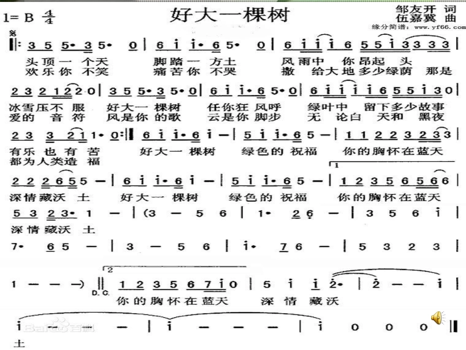 我骄傲我是一棵树公开课_第1页