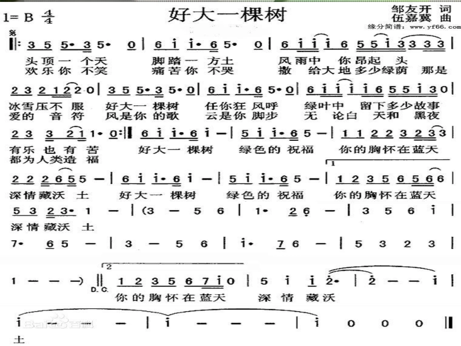 我骄傲我是一棵树公开课_第2页