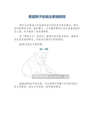 素描狮子的画法素描教程