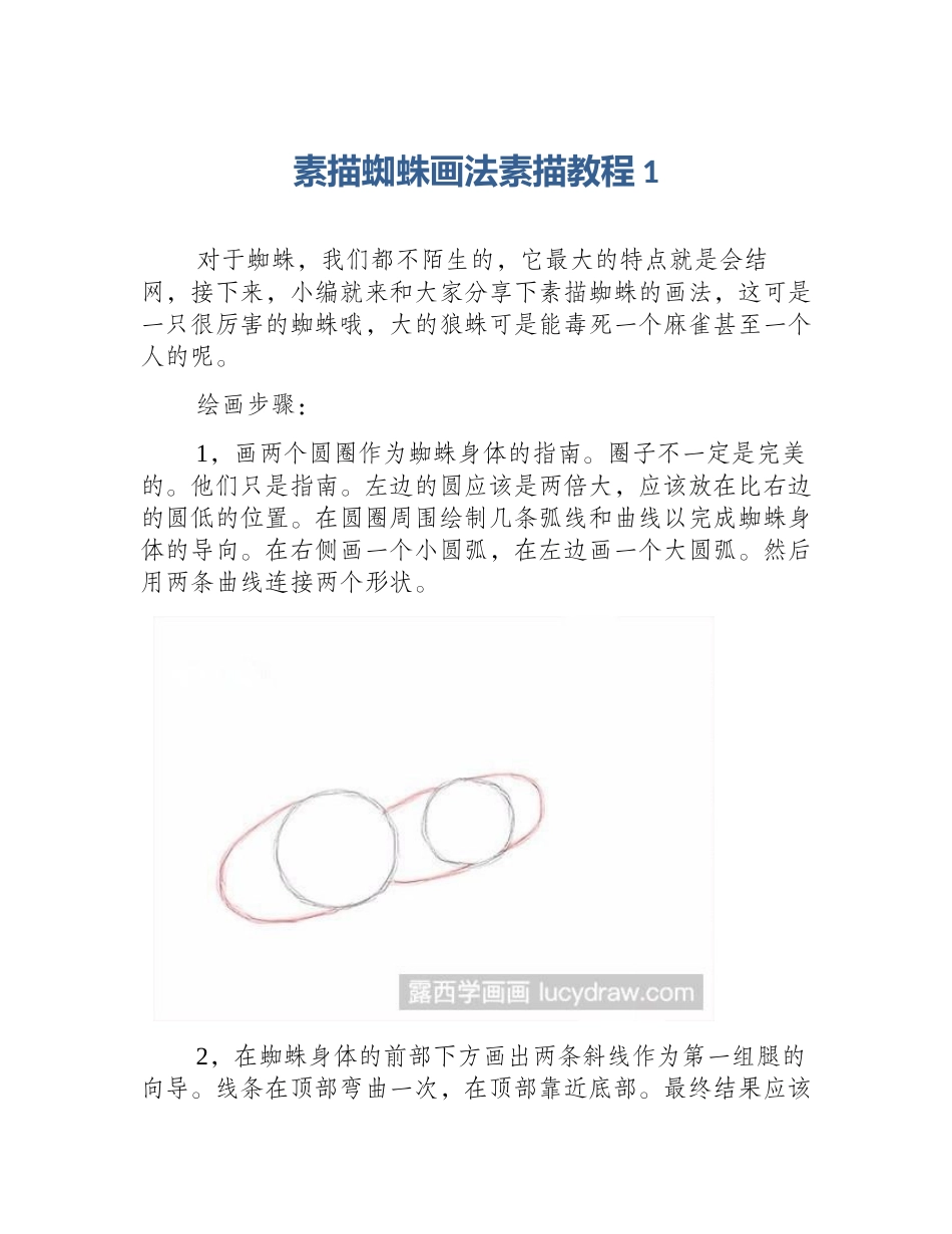 素描蜘蛛画法素描教程1_第1页