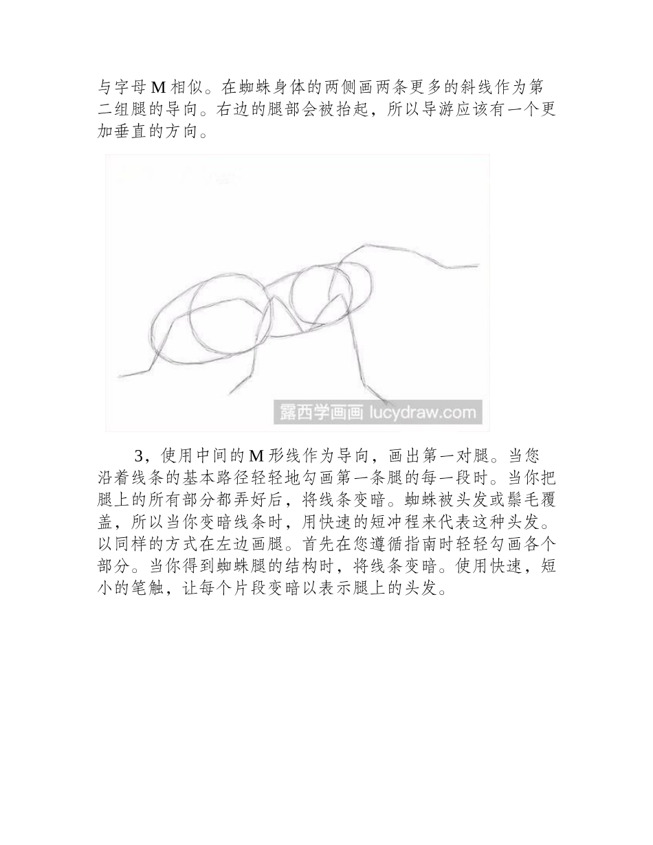 素描蜘蛛画法素描教程1_第2页