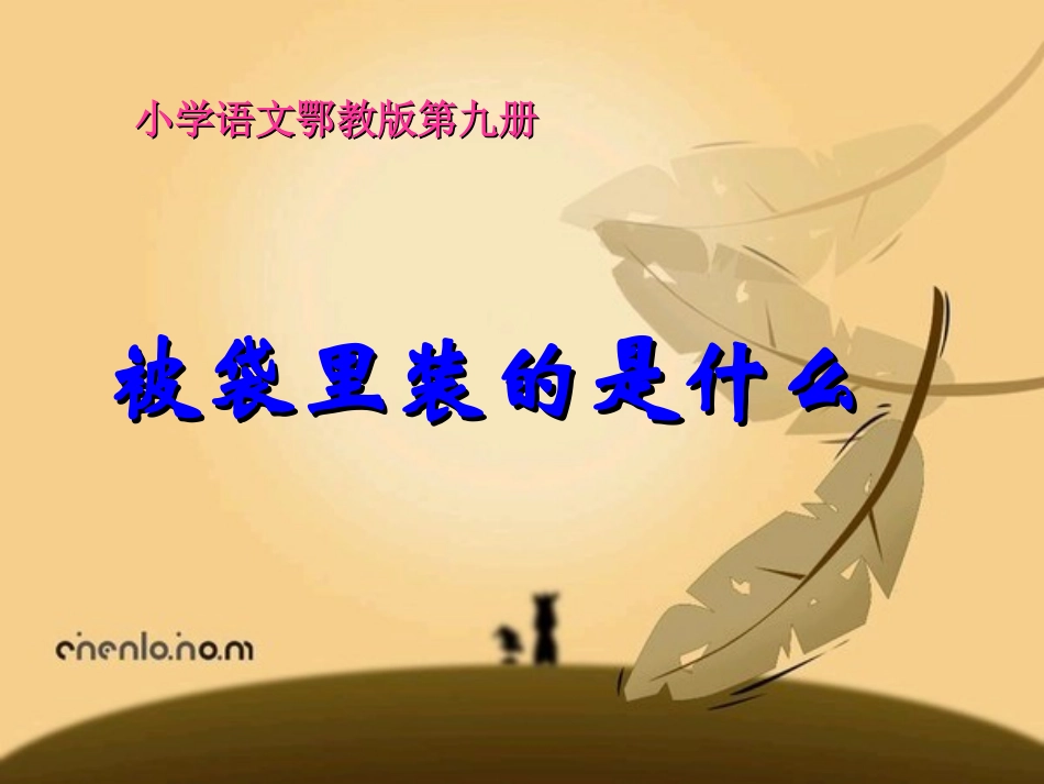 10被袋里装的是什么_第1页