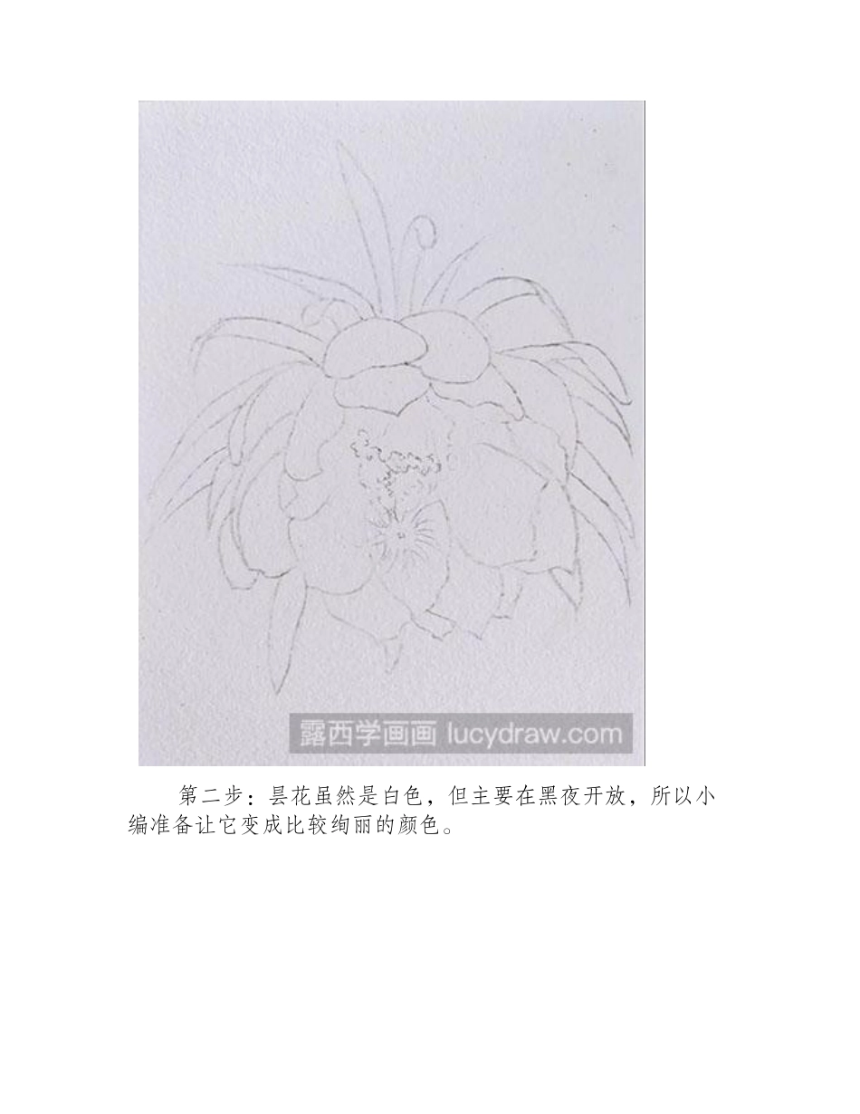 水粉画教程：昙花绘制方法水粉画教程_第2页