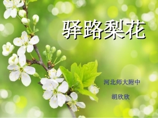 (部编)初中语文人教2011课标版七年级下册2017驿路梨花