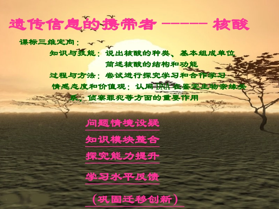 新课程核酸课件_第1页