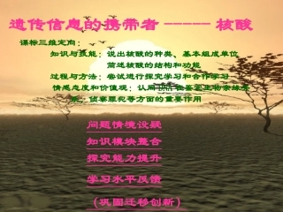 新课程核酸课件