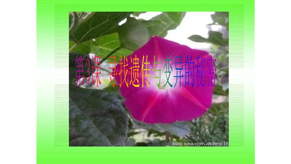 3寻找遗传与变异的秘密_第1页