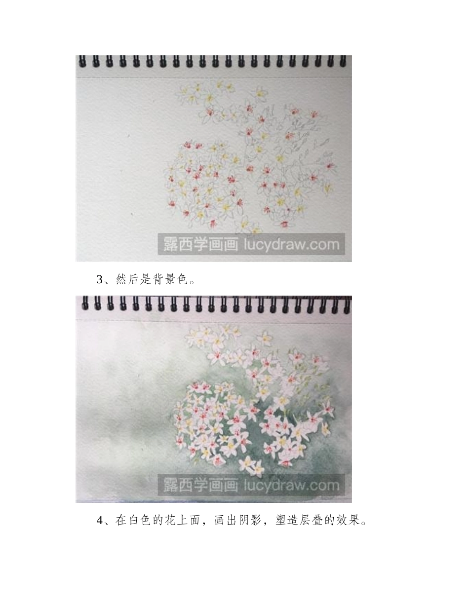 水彩画教程：教你画桐花水彩画教程_第2页