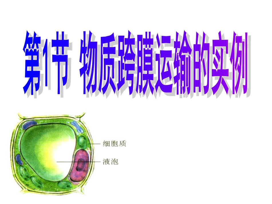 物质跨膜运输的实例_第1页