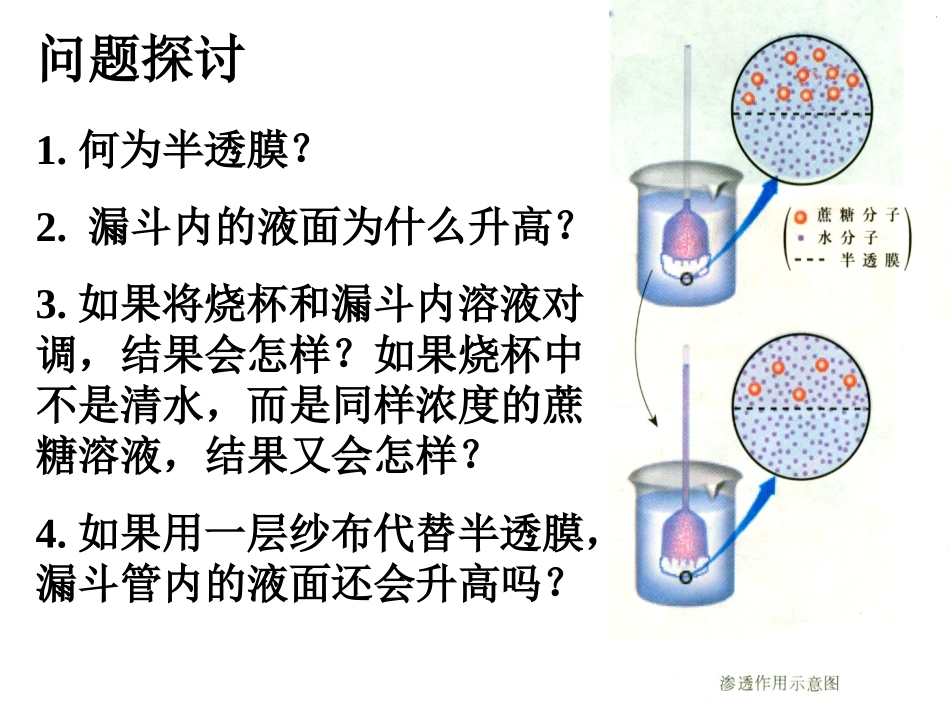物质跨膜运输的实例_第2页