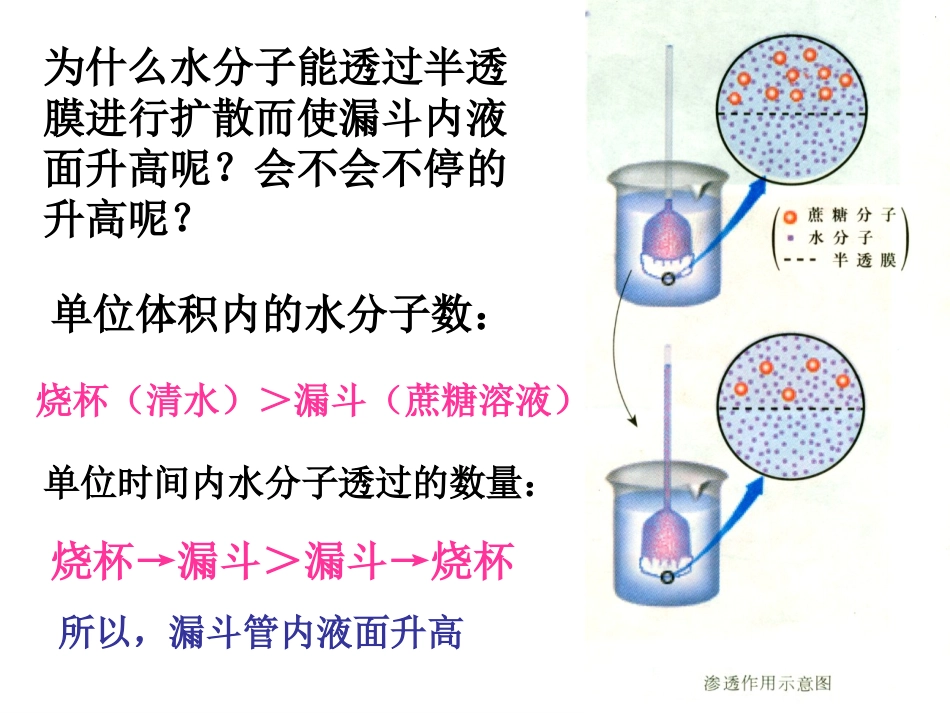 物质跨膜运输的实例_第3页
