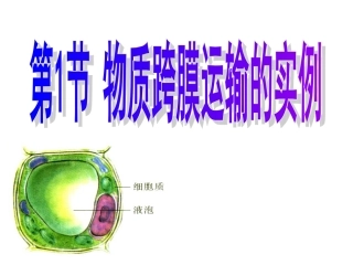 物质跨膜运输的实例