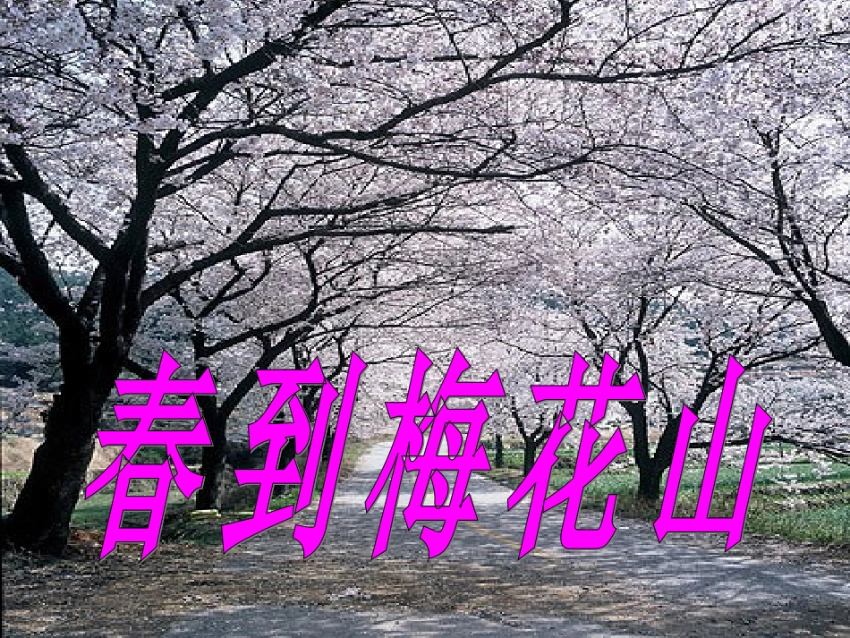 4.春到梅花山01_第1页