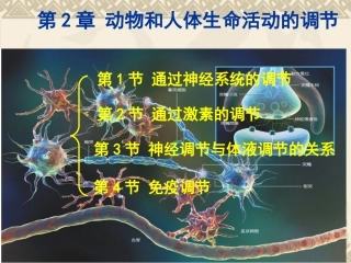 通过神经系统的调节(1)