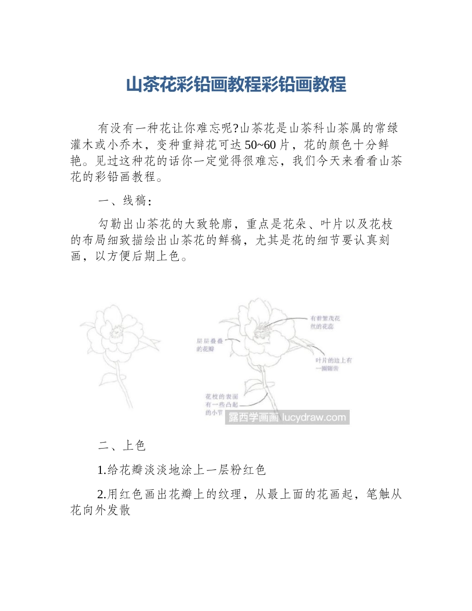 山茶花彩铅画教程彩铅画教程_第1页