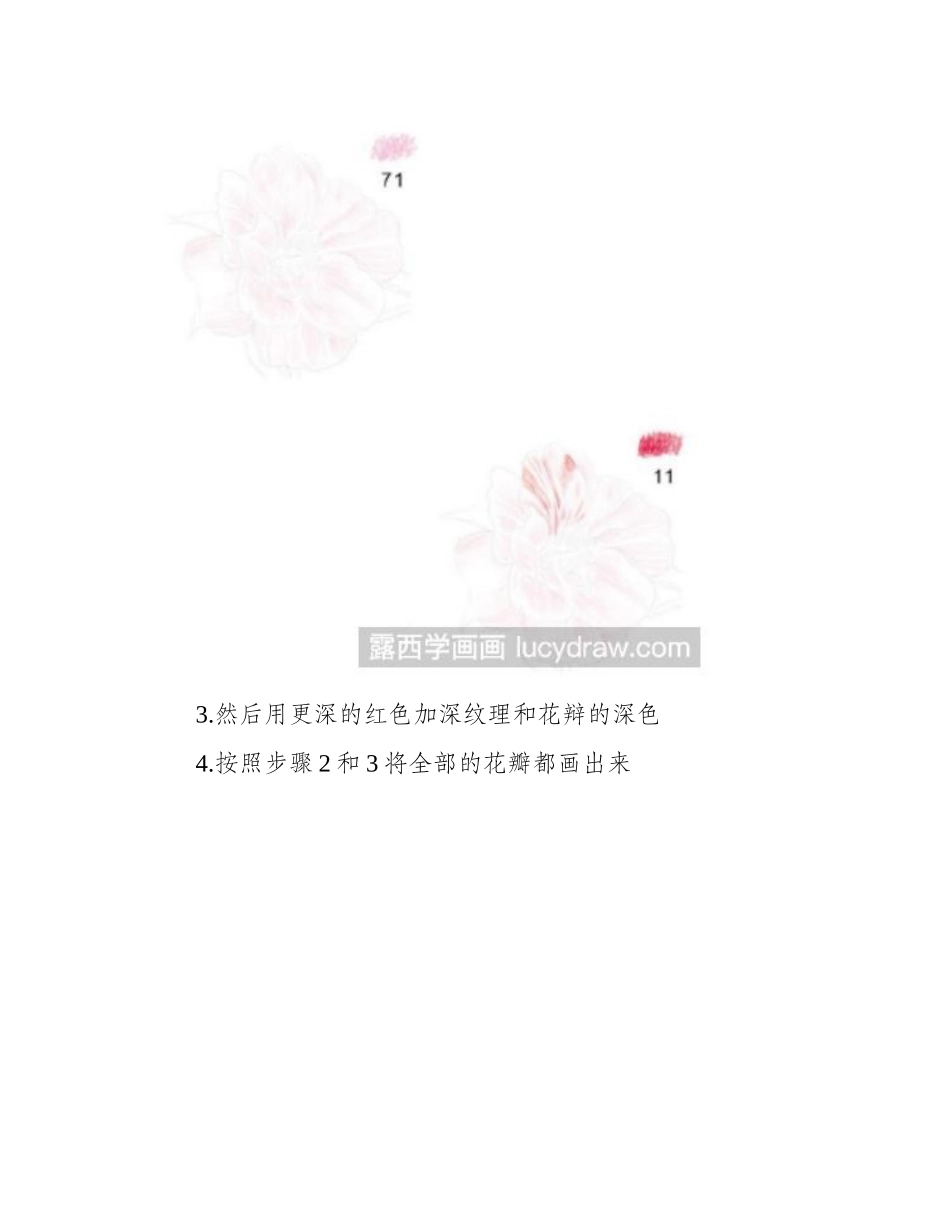 山茶花彩铅画教程彩铅画教程_第2页