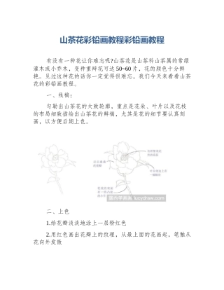 山茶花彩铅画教程彩铅画教程