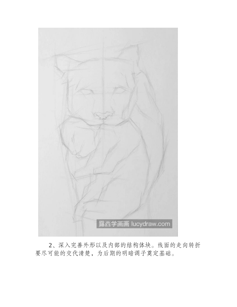 素描狮子怎么画_母子情深场景如何画_素描教程_第2页