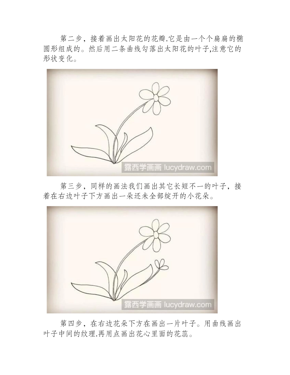太阳花的简笔画步骤简笔画教程_第2页