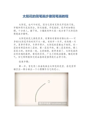太阳花的简笔画步骤简笔画教程