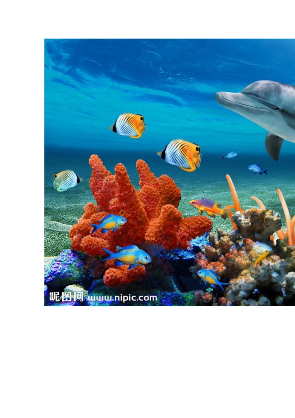 《海底世界》-杜春娟-桐峪幼儿园_第2页