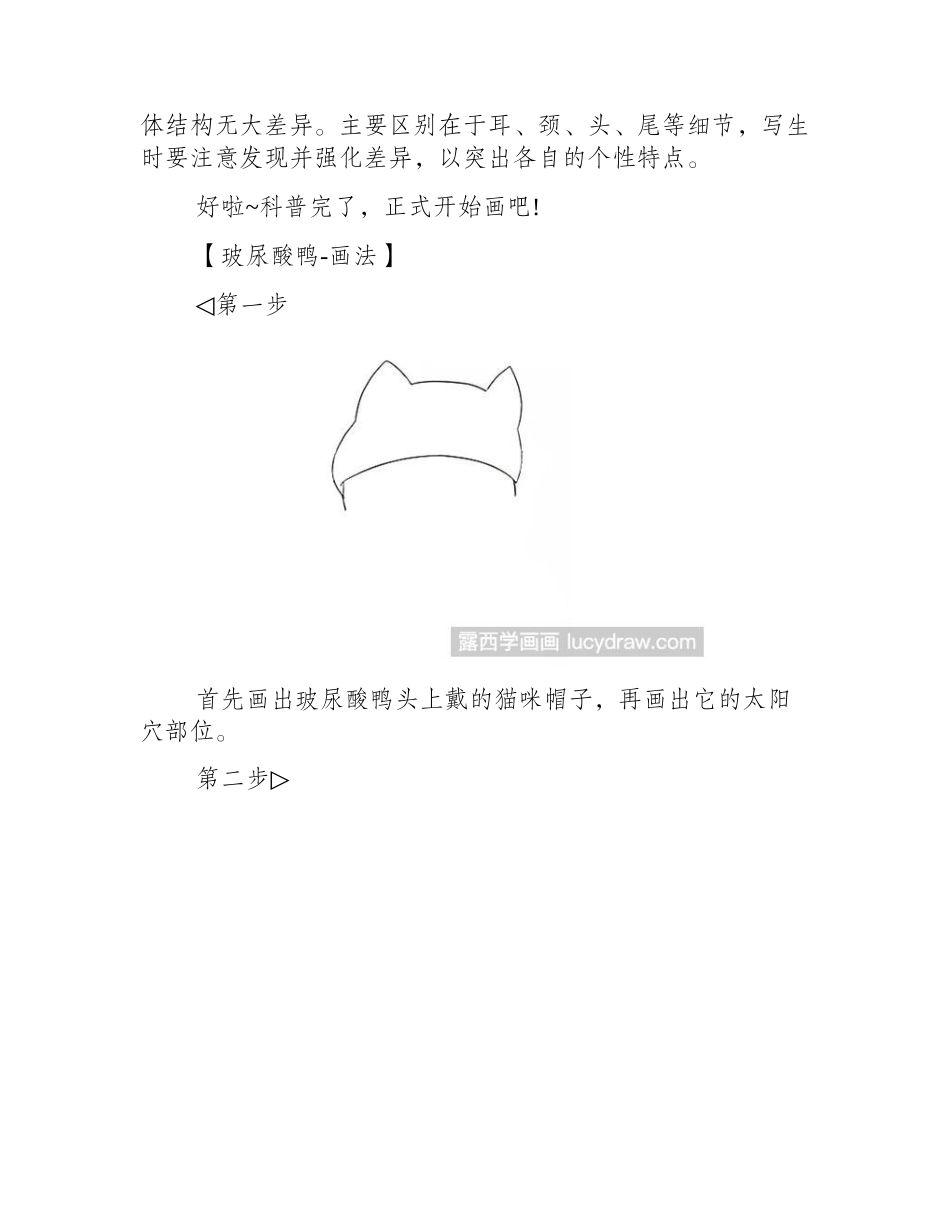 网红玻尿酸鸭简笔画教程简笔画教程_第2页
