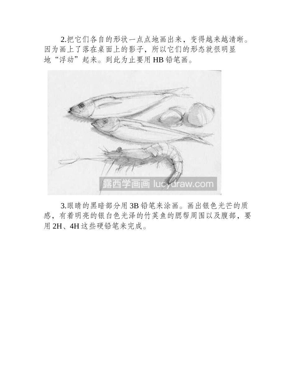 素描教程：怎么表现素描静物(竹荚鱼、虾、蛤蜊)的质感素描教程_第2页