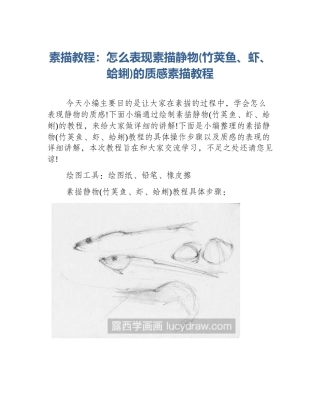 素描教程：怎么表现素描静物(竹荚鱼、虾、蛤蜊)的质感素描教程