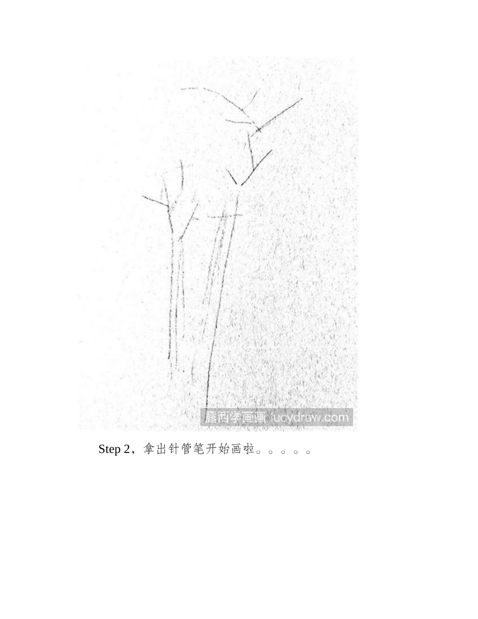 速写树的画法速写教程_第2页