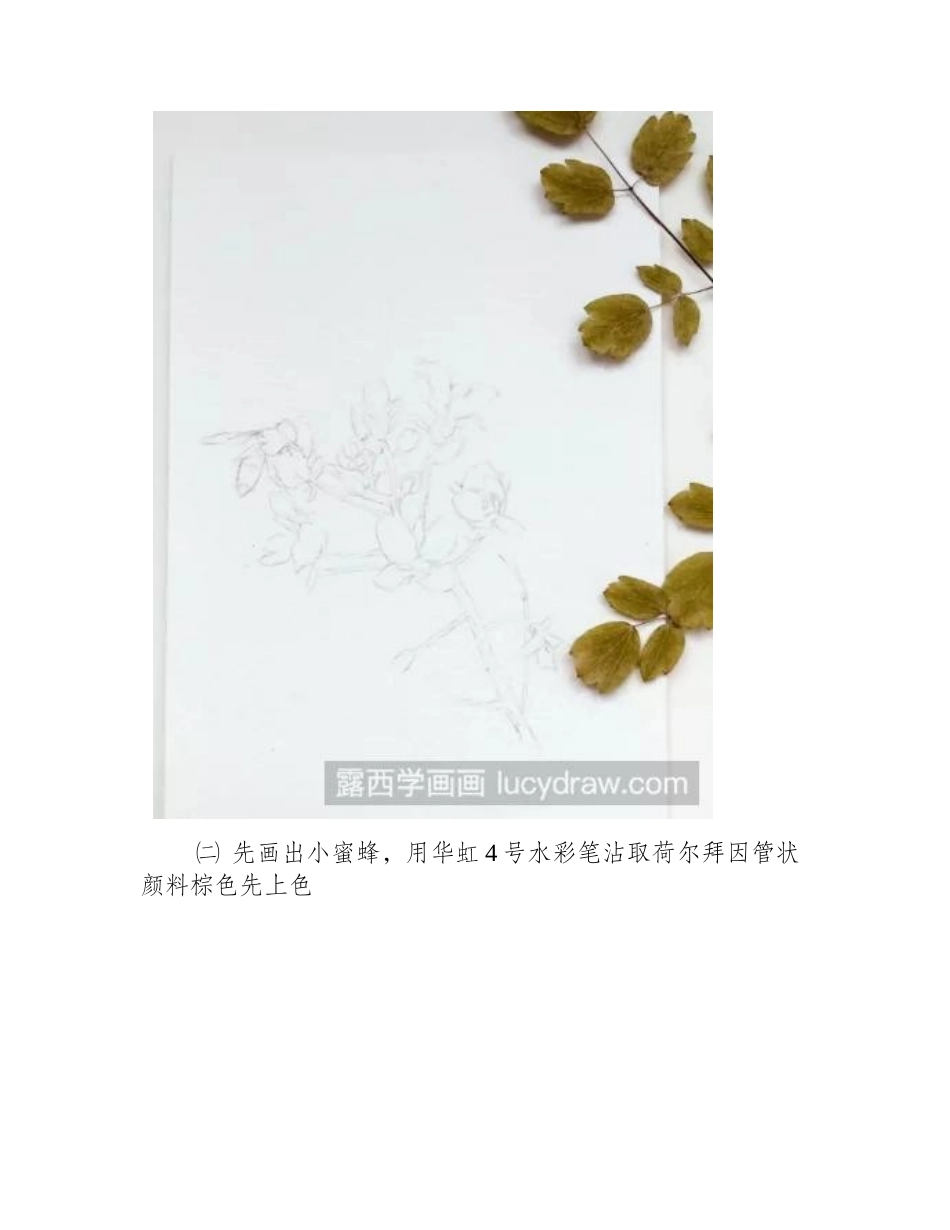 水彩画油菜花步骤教程水彩画教程_第2页