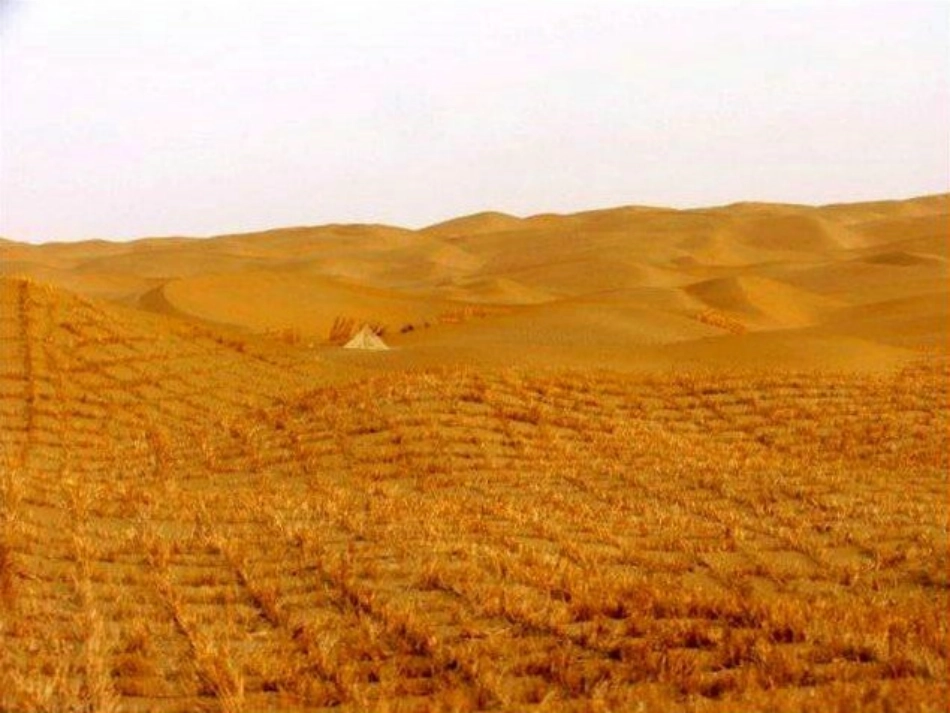 《在沙漠中心》ppt课件_第3页