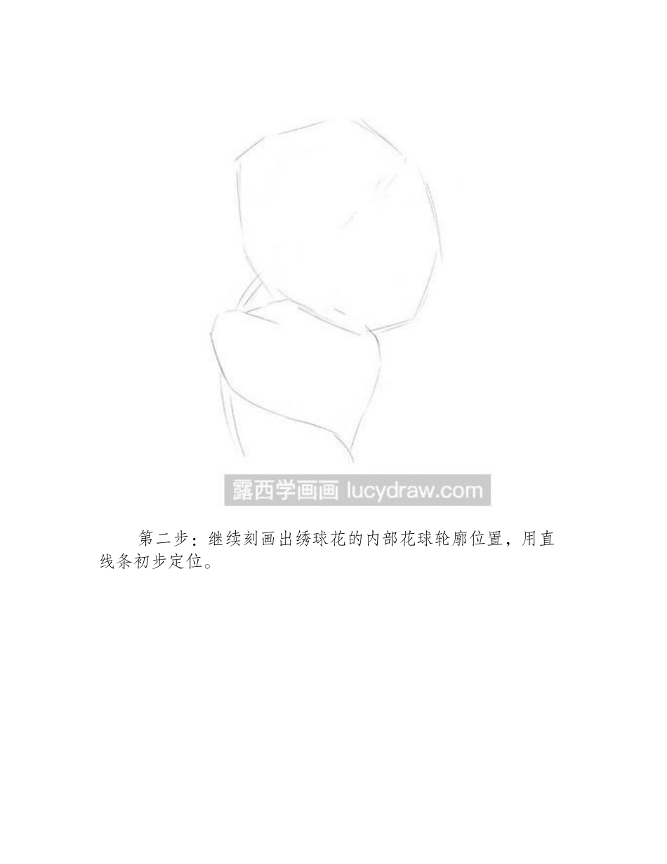 素描静物-绣球花素描教程_第2页